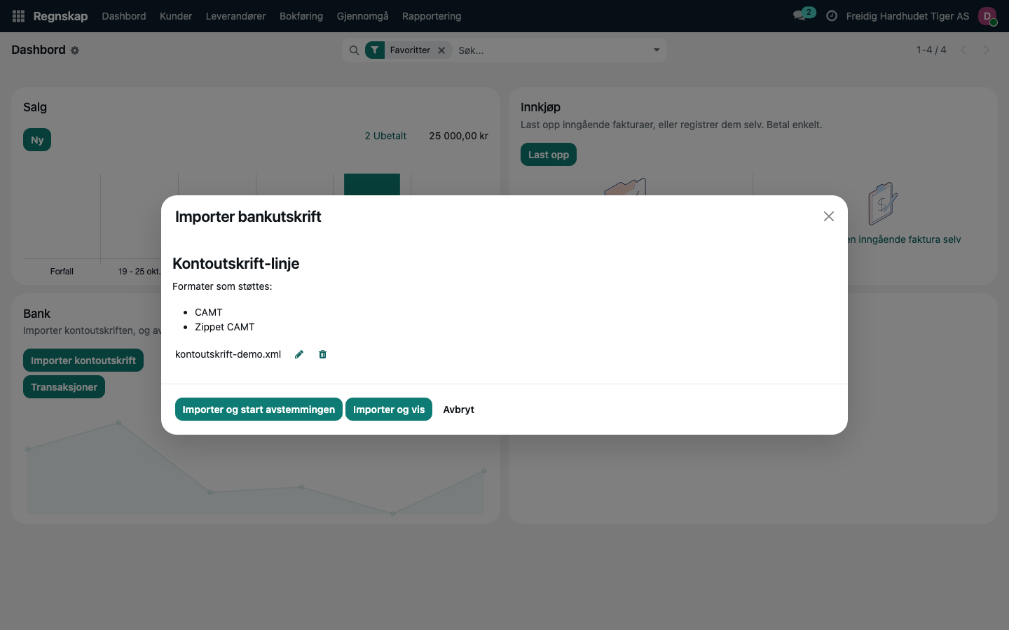 Vinduet «Importer bankutskrift» med fila valgt